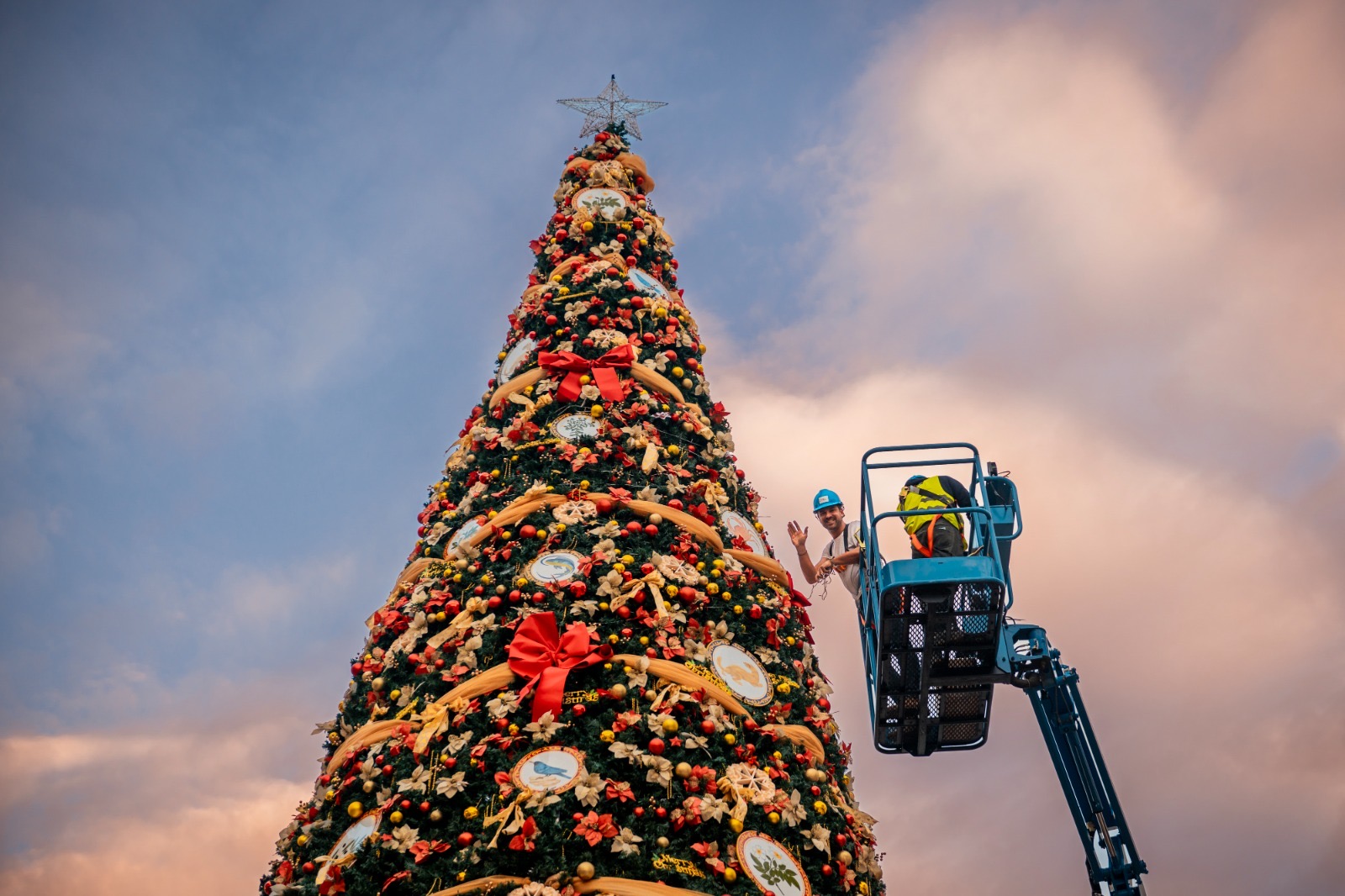 Malta National Christmas Tree 2025 during installation in Valletta